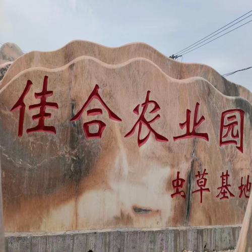 景观石供应